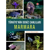 Türkiye'nin Deniz Canlıları Marmara - 1