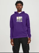 JACK JONES Baskılı Erkek Kapüşonlu Sweatshirt 12246994 thumbnail 1