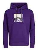 JACK JONES Baskılı Erkek Kapüşonlu Sweatshirt 12246994 thumbnail 7