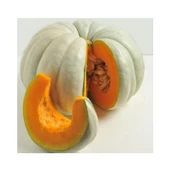 Agrokar Bal Kabağı 10gr - 1