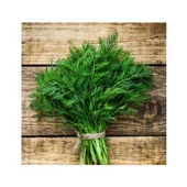 Agrokar Dereotu Tohumu 10GR 5 Paket - 1