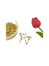 Gold Küpe Tıpası - 1