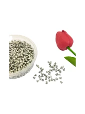 Gümüş Küpe Tıpası - 1