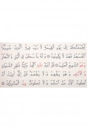 Ahşap Kutulu Kuran-ı Kerim (0123 - Çanta Boy) - 4