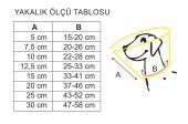 TALES - YAKALIK KAUÇUK DİKİŞLİ - 30 CM - 2