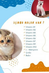 Kedi Tüy Sağlığı Damlası Plus +B  Kediler İçin Tüy ve Tırnak Sağlığını Destekleyen Multivitamin 50ML - 3