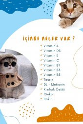 Kısırlaştırılmış Kedilere Özel Multi Vitaminli Steril Macun   - Sterile Paste 100 g - 3