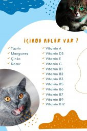 Multivitamin Malt Macunu - Multi Paste - Kedilerde Bağışıklık Sistemi Güçlendirici Yumak Önleyici - 2