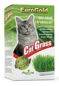 EuroGold Cat Grass Yüksek Kaliteli Kedi Çimi Kediniz İçin Özel Seçilmiş Hijyenik Topraksız Kaliteli Tohumlar - 2