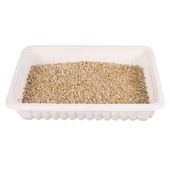 Trixie Yavru ve Yetişkin Kedi Çimi (Yumuşak) 100GR - 2