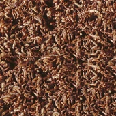 Sera FD Bloodworms FD Snack Nature 50ml Kan Kurdu  Skt:05/2028 thumbnail 2