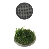 Ista Bitki Tabanı Seramik 5 cm Yuvarlak - 1