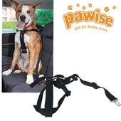 Pawise Emniyet Kemer Tokalı Tasma XL 80-110 cm - 1