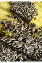 Alaca (Ala) Çizgili Çekirdek (Orta Boy Taneli) 500gr - 1