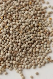 Kuşlarınız İçin Perilla Tohumu 100 Gram - 1