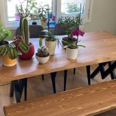 Deryawood Masif Ağaç Yemek Masası 160cmx85cmx76cm- Acık Ceviz- V Ayak thumbnail 3