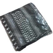 ArtworkAnatolia Puşi - 1