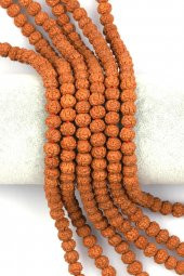 Rudraksha Tohumu Dizi 6 x 7 mm Rondel Kesim thumbnail 1