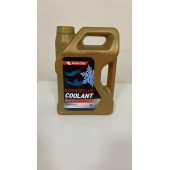 PETROL OFİSİ ORGANİK KIRMIZI ANTİFRİZ 3 LT (2024 ÜRT) - 1