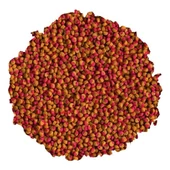 Tetra Cichlid Colour Mini 250 gr Skt :11/2026 Orjinal Kovadan Bölme Anadolu Pet Ürünüdür - 1