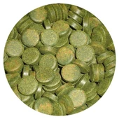 Sera Spirulina Nature 100 Tablet 65gr Skt:11/2026 Orjinal Kutusundan Bölme  *** Yeni *** - 1
