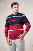 Dorss Slimfit Bisiklet Yaka Çizgili Pamuklu Erkek Spor Kazak - 3
