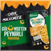Knorr Çabuk Mac And Cheese Peynirli Makarna 212 gr - 3