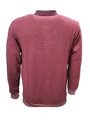 Rey Polo R01253 Erkek Basic Selanik Polo Yaka Sweatshirt thumbnail 2