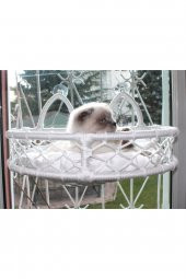 Cedric Kedi Cam Yatağı & Cam Askılı Vantuzlu Kedi Yatağı Beyaz - 2