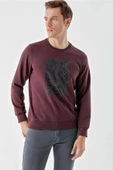 Slimfit Bisiklet Yaka Önü Baskılı 2 İplik Erkek Sweatshirt - 1