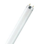 OSRAM L 36W/66 T8 Floresan Yeşil Ampul - 1