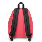 Eastpak Sırt Çantası Padded Pakr Cupcake Pink EK0006207E81 - 4