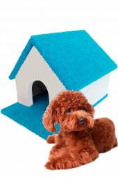 Kulübe Köpek Evi Küçük ve Orta Irk - 2