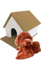 Kulübe Köpek Evi Küçük ve Orta Irk - 3