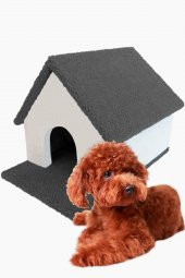 Kulübe Köpek Evi Küçük ve Orta Irk - 4