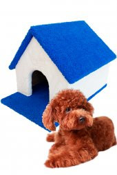 Kulübe Köpek Evi Küçük ve Orta Irk - 6