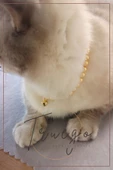 Cam İnci Kedi Kolyesi Zilli Kedi Tasması - Gold - 4