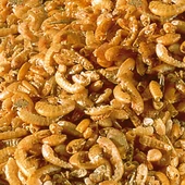 Sera Raffy I Gammarus 1000 ml 130 gr (bölünmüş) Kablumbağa Ve Kertenkele  Skt:09/2027 - 1