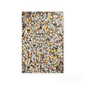 Kuşlara Çimlendirmelik, Filizlendirmelik 11 Çeşit Tohum 2Kg - 1