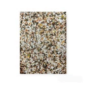 Kuşlara Çimlendirmelik, Filizlendirmelik 11 Çeşit Tohum 2Kg - 7