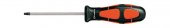 Format TX 10x80mm Torx Tornavida-58830040 - 1
