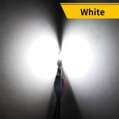T10 Dekoratif led ampul beyaz 12V 4W canbus / LAAM953 - 2