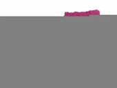 Mondial X-Treme Max 150 Rockstar Sticker Set - 3