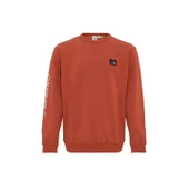 Quıksılver THE ORIGINAL CREW Erkek Sweatshırt EQYFT04793-QK.GSG0 thumbnail 1