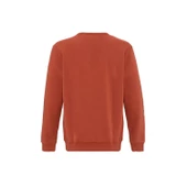 Quıksılver THE ORIGINAL CREW Erkek Sweatshırt EQYFT04793-QK.GSG0 thumbnail 4