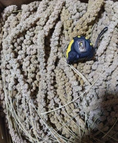 Sarı Dal Darı (Daldarı) Kuş Yemi 250Gr (Ort: 25cm Uzunluk) thumbnail 3