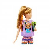 Barbie'nin Kız Kardeşleri Kampa Gidiyor Oyun Seti (Karışık Model 1 Adet) - 3
