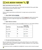 Rudolph Geyikli Köpek Tişörtü Yılbaşı Noel Christmas Köpek Elbisesi - 6