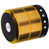 TT WS-887 Mini Metal Bluetooth Hoparlör TF Kart / USB /FM - 3