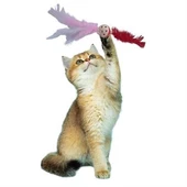 Petinka® Tüylü Püsküllü Kedi Oyuncağı Dikkat Çekici Renkli Sevimli Evcil Hayvan Oyuncağı - 2